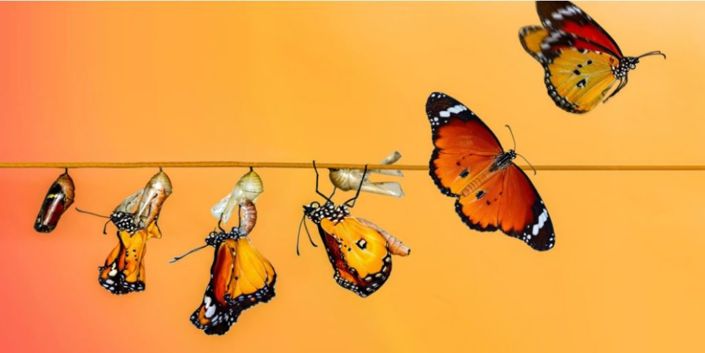 THE THREE DOORS OF TRANSFORMATION